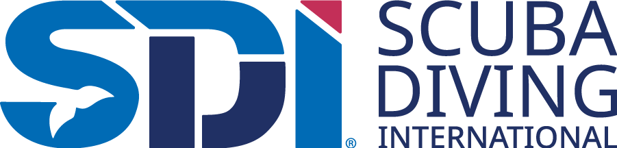 SDI